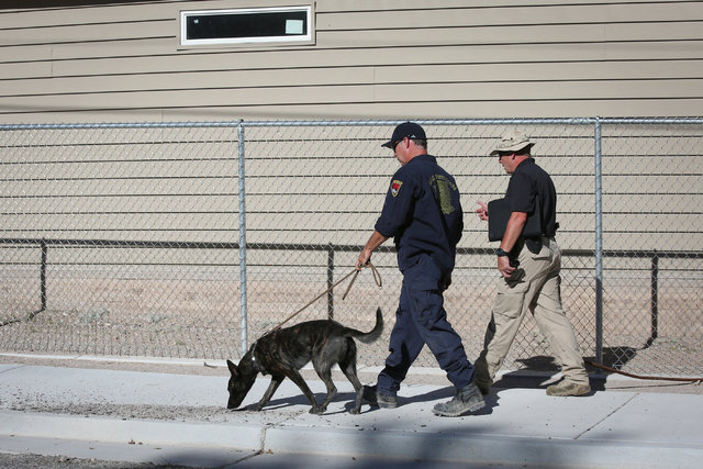 Police use a K-9 to search the campus of Panaca Elementary School on Thursday, July 14, 2016, the day after a bombing that killed one person in Panaca, Nevada. (Brett Le Blanc/Las Vegas Review-Jou ...