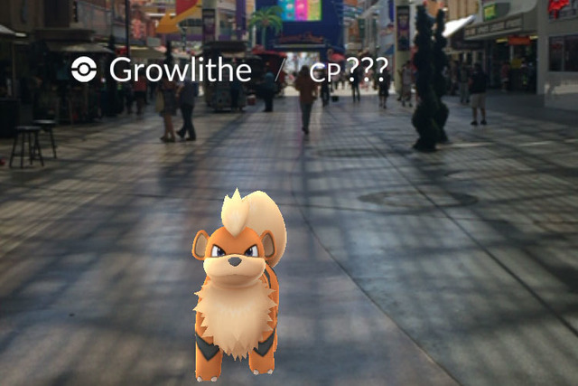 A Growlithe is seen at the Fremont Street Experience on the screen of a Pokemon Go user in downtown Las Vegas, on Wednesday, July 13, 2016. (Kristen DeSilva/Las Vegas Review-Journal Follow @kriste ...