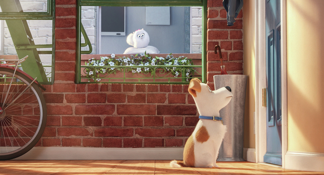 Gidget (JENNY SLATE) is a naïve-but-gutsy Pomeranian and Max (LOUIS C.K.) is a pampered terrier mix in Illumination Entertainment and Universal Pictures' "The Secret Life of Pets." Credit: Illumi ...
