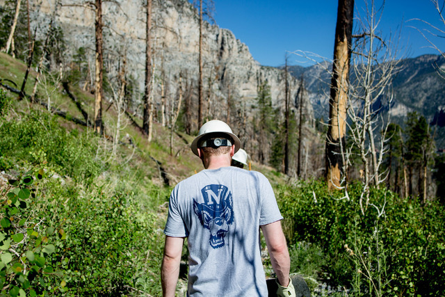 Rusty Shepard, a volunteer for three years, walks to his station with other crews members from Great Basin Institute and volunteers from Friends of Nevada Wilderness as they worked on the South Lo ...