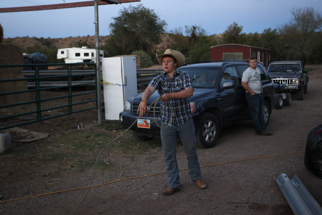 Arden Bundy ropes at his father Cliven Bundy's ranch near Bunkerville Nev. Saturday, April 5, 2014. The Bureau of Land Management has begun to round up what they call "trespass cattle&am ...