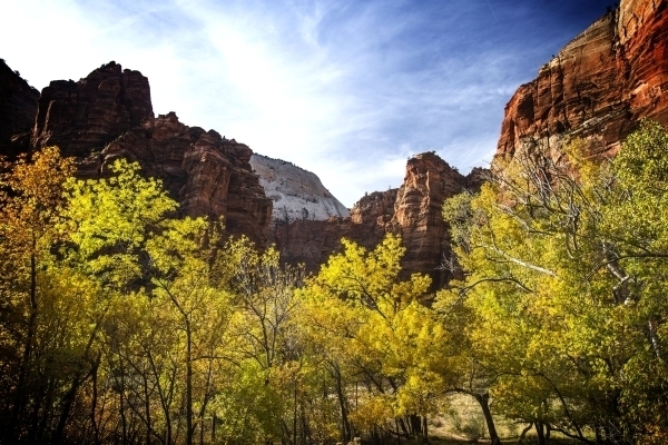 The National Park Service turns 100 Thursday, and park sites across the region are celebrating with free admission, including Zion National Park. (Chase Stevens/Las Vegas Review-Journal)