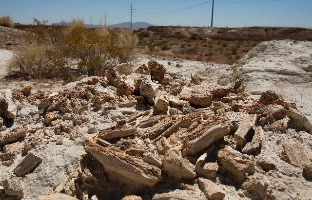 Fossilized mammoth bones are shown in the Upper Las Vegas Wash near Tule Springs on the northern outskirts of the Las Vegas Valley on Sept. 1, 2010.