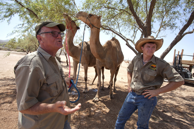 The owner of Camel Safari Guy Seeklus, left, and his employee Nathan Witter talk about the camel ride on Wednesday, June 27, 2016 in Mesquite, Nev. Loren Townsley/Las Vegas Review-Journal Follow @ ...