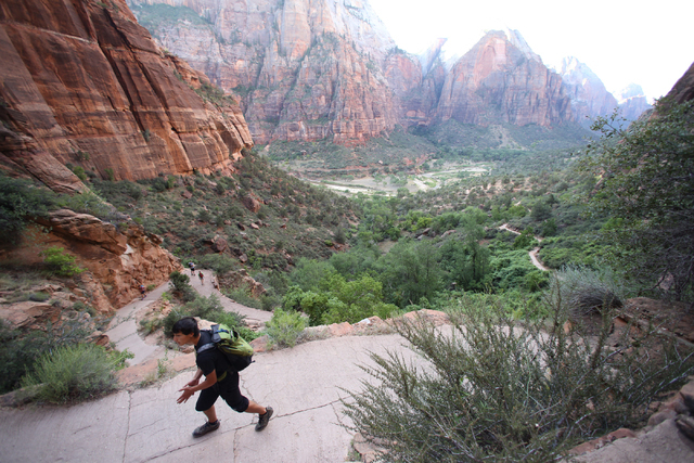 A hiker treks up the first part of Angels Landing, a 5-mile round-trip trail that climbs 1,500 feet up to the peak, in Utah's Zion National Park. (Brett Le Blanc/Las Vegas Review-Journal)