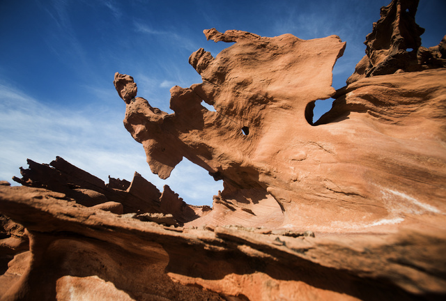 Little Finland, also known as Hobgoblin's Playground and Devil's Fire, as seen Thursday, May 22, 2014. The Gold Butte Region, administered by the BLM and the U.S. National Park Service, is located ...
