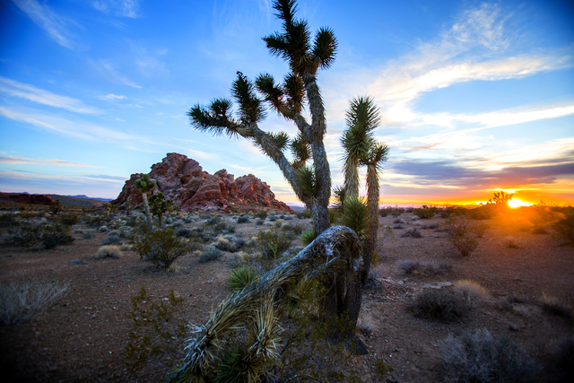 Gold Butte area as seen at sundown Thursday, May 22, 2014. The Gold Butte Region, administered by the BLM and the U.S. National Park Service, is about 2 1/2 hours east of Las Vegas. The area is po ...