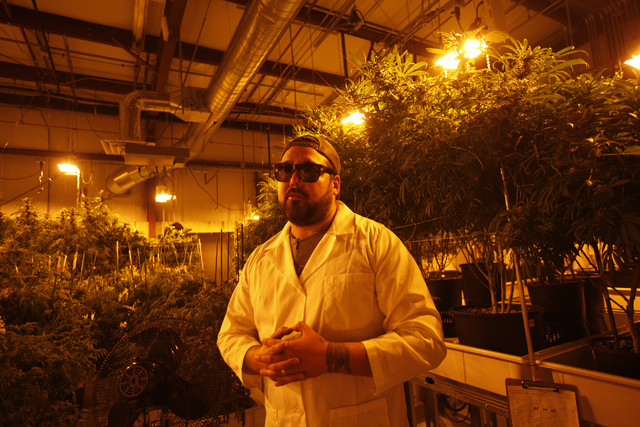 Gareth Nelson, general operations manager for Waveseer LLC, a marijuana cultivation and production company, leads a tour of the facilities at the Apex Industrial Park in North Las Vegas Monday, Ma ...