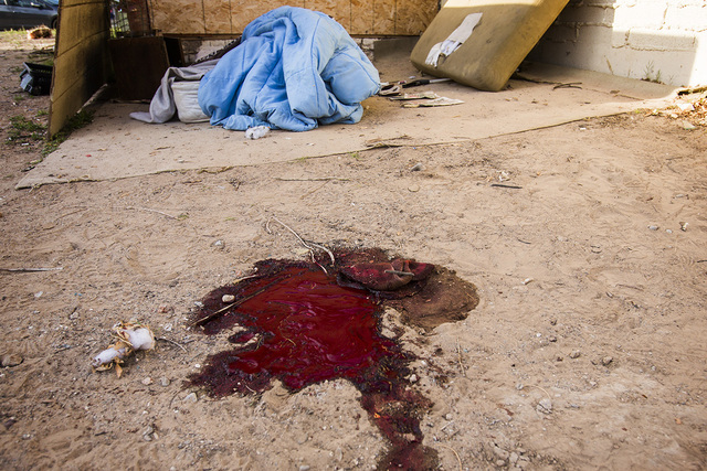 A pool of blood near a makeshift bed is seen Monday, March 10, 2014 behind a building at 800 N. Tonopah after David Robinson was killed in an officer-involved shooting in North Las Vegas. A civil  ...
