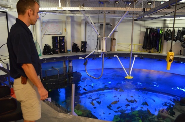 Silverton Mermaid Aquarium curator Ryan Ross gives a tour behind the scenes in the staging area where mermaids and divers enter the tank. Ginger Meurer/Special to View