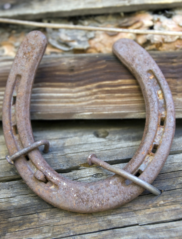 A horseshoe is shown on the Hidden Forest Cabin in the Sheep Mountains north of Las Vegas is shown Tuesday, May 12, 2009. The Fish and Wildlife Service will repair and restore the remote, century- ...