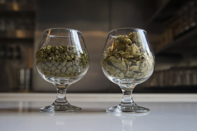 Two different kinds of beer hops are shown at Banger Brewing in Las Vegas on Tuesday, Sept. 13, 2016. Loren Townsley/Las Vegas Review-Journal Follow @lorentownsley