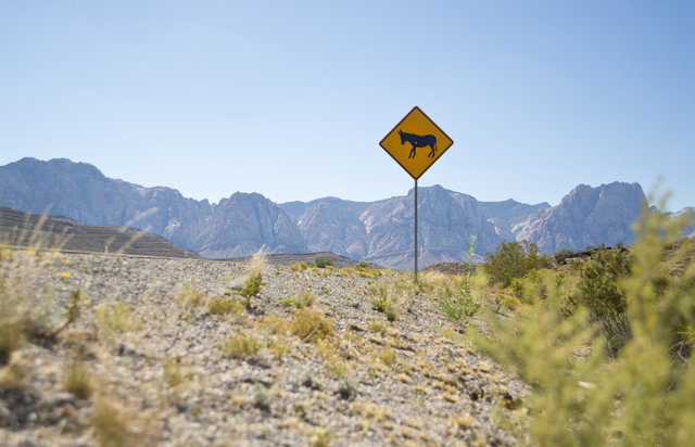A burro crossing sign warns motorists along Blue Diamond Road near Red Rock Canyon National Recreation Area in Las Vegas on Monday, Aug. 8, 2016. The Bureau of Land Management is currently roundin ...