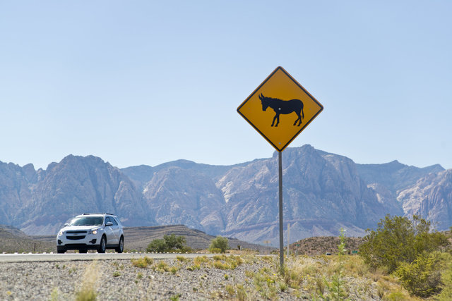 A burro crossing sign warns motorists along Blue Diamond Road near Red Rock Canyon National Recreation Area in Las Vegas on Monday, Aug. 8, 2016. The Bureau of Land Management is currently roundin ...