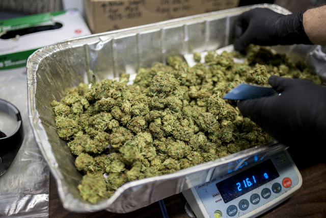 Marijuana buds are weighed in Medicine Man, a family owned dispensary in Denver Colorado, Friday, Sept. 2, 2016. (Elizabeth Page Brumley/Las Vegas Review-Journal) Follow @ELIPAGEPHOTO