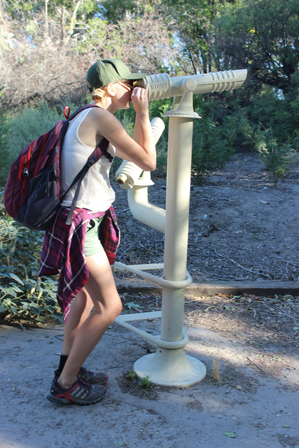A visitor checks out the birds in the riparian habitat at Corn Creek. Deborah Wall/Special to View