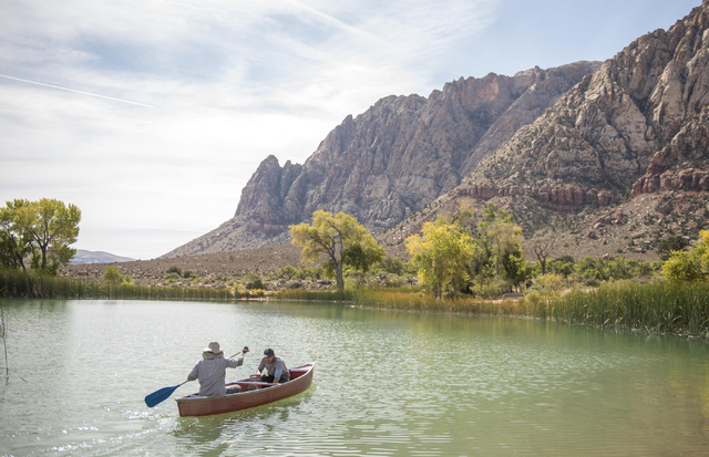 Kevin Guadalupe, left, fisheries biologist, and Greg Munson, both from the Nevada Department of Wildlife, set traps for poolfish at Spring Mountain Ranch State Park on Friday, Oct. 7, 2016. The po ...