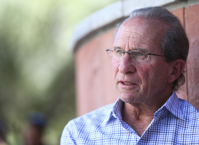 Michael Saltman, managing general partner and president of The Vista Group, speaks during an interview outside of the William S. Boyd School of Law at UNLV in Las Vegas on Tuesday, Oct. 11, 2016. ...
