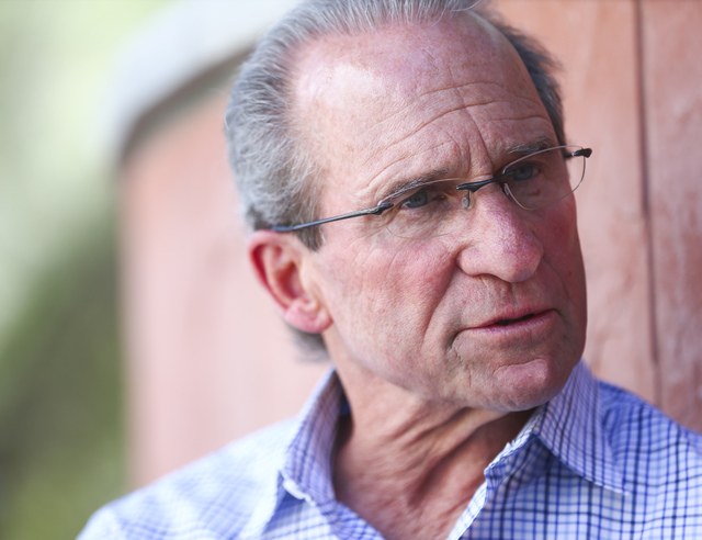 Michael Saltman, managing general partner and president of The Vista Group, speaks during an interview outside of the William S. Boyd School of Law at UNLV in Las Vegas on Tuesday, Oct. 11, 2016. ...