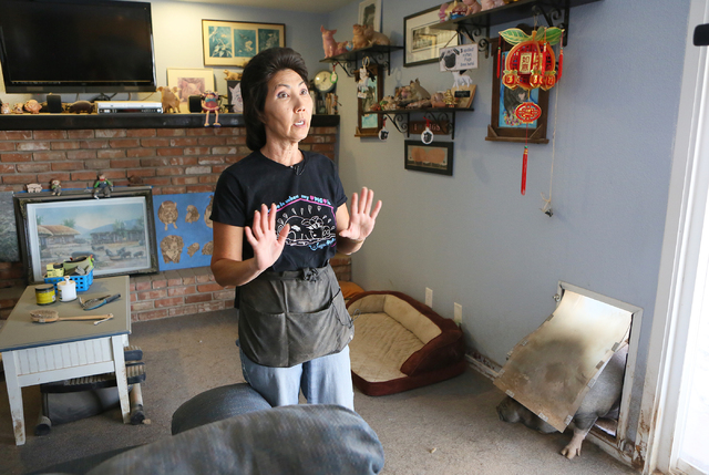 Crystal Kim-Han, founder and managing director of the pig rescue VegasPigPets, participates in an interview as her 200-lb. pet potbellied pig Bonnie enters her home through a large pet door Monday ...