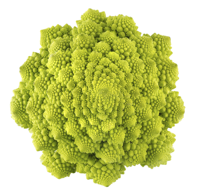romanesco broccoli isolated on white background