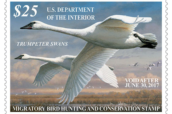 Hunters who are 16 and older must have a 2016-17 Federal Duck Stamp in their possession when hunting migratory waterfowl this season. The artwork for this stamp is the work of Joseph Hautman. Imag ...