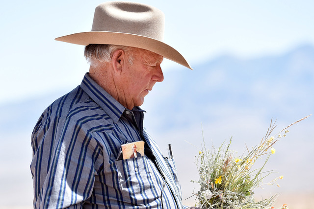 Rancher Cliven Bundy carries a bouquet of desert foliage, which his cattle grazes on, during an event near his ranch in Bunkerville on Saturday, April 11, 2015. (David Becker/Las Vegas Review-Journal)