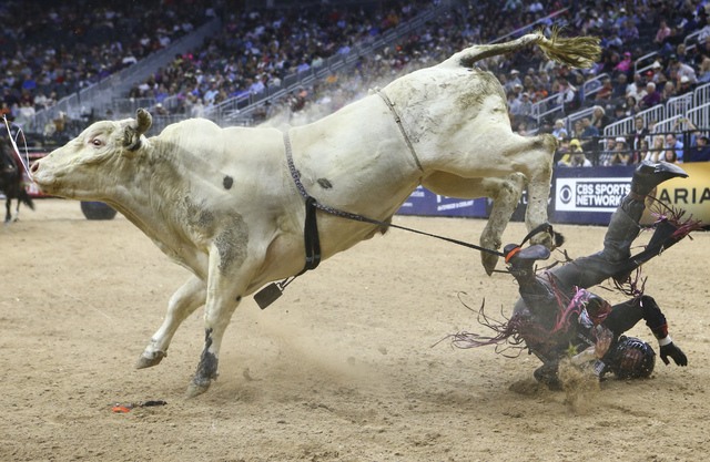 PBR's top five bull riders talk pet bulls, gnarly wrecks and