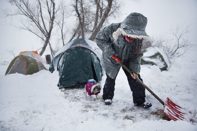 In this Tuesday, Nov. 29, 2016 photo, Loretta Reddog, of Placerville, California, shovels a walkway to her tent while followed by her dog Gurdee Bean at the Oceti Sakowin camp where people have ga ...