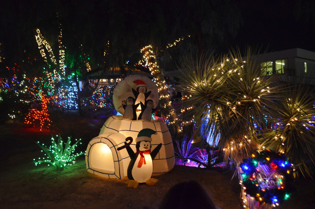 Penguins are among the stars of Ethel M holiday cactus garden, photographed Nov. 13, 2014. (Ginger Meurer/View)