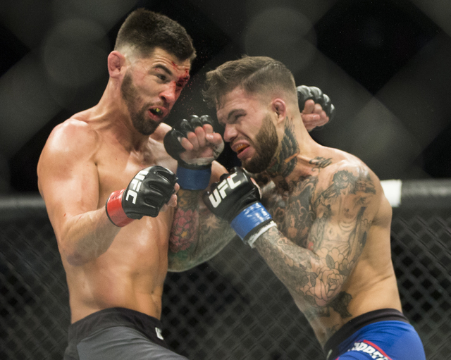 Cody Garbrandt, right, lands a strike against Dominick Cruz during their bantamweight fight at UFC 207 at T-Mobile Arena on Friday, Dec. 30, 2016, in Las Vegas. Benjamin Hager/Las Vegas Review-Journal