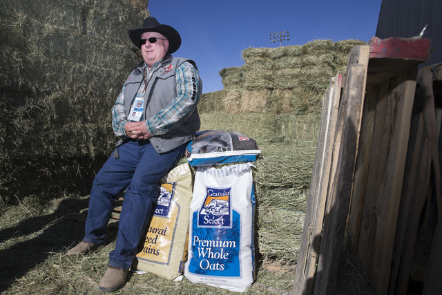 Feed crew keeps animals bucking at National Finals Rodeo | Las Vegas  Review-Journal