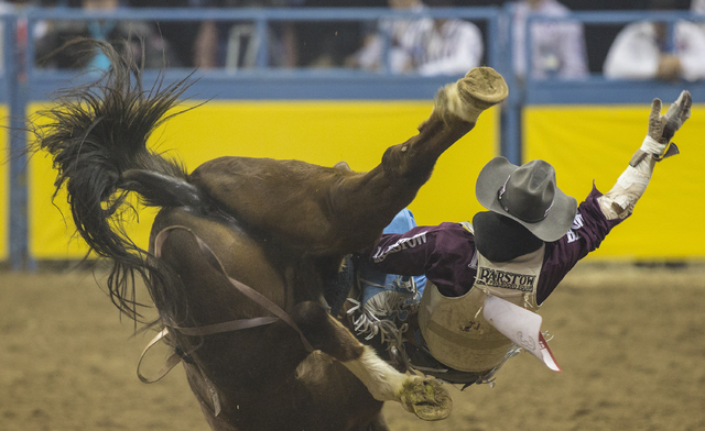 Winn Ratliff rides Short Fuse during the bareback riding competition on the ninth day of the National Finals Rodeo at the Thomas & Mack Center on Friday, Dec. 9, 2016, in Las Vegas. Benjamin H ...