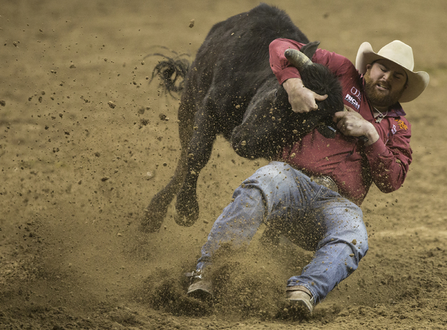 Jason Thomas competes in the steer wrestling competition on the ninth day of the National Finals Rodeo at the Thomas & Mack Center on Friday, Dec. 9, 2016, in Las Vegas. Benjamin Hager/Las Veg ...