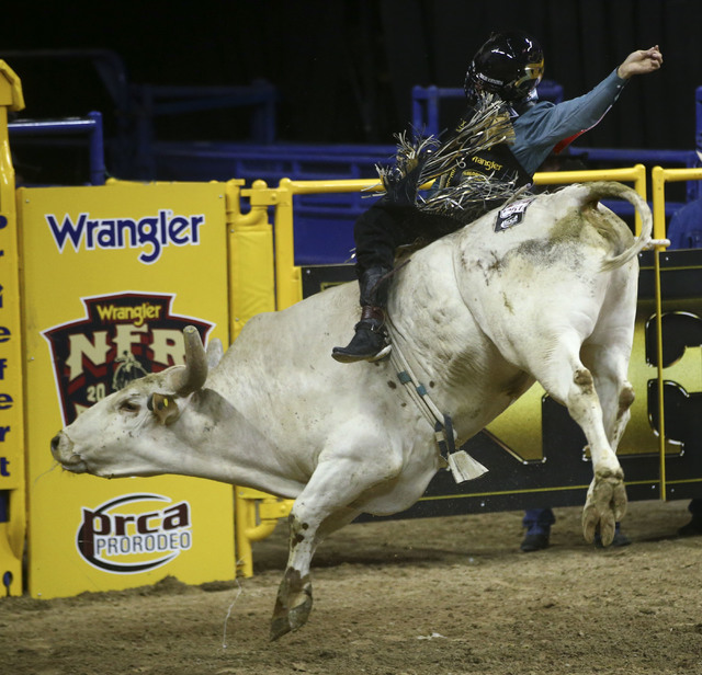 Sage Kimzey rides Breaking Bad while competing in the bull riding event during the 2nd go-round of the National Finals Rodeo at the Thomas & Mack Center in Las Vegas on Friday, Dec. 2, 2016. ( ...