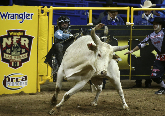Sage Kimzey is bucked off of Breaking Bad while competing in the bull riding event during the 2nd go-round of the National Finals Rodeo at the Thomas & Mack Center in Las Vegas on Friday, Dec. ...