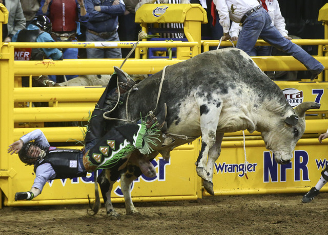 Cody Restockyj is bucked off of Tequila while competing in the bull riding event during the 2nd go-round of the National Finals Rodeo at the Thomas & Mack Center in Las Vegas on Friday, Dec. 2 ...
