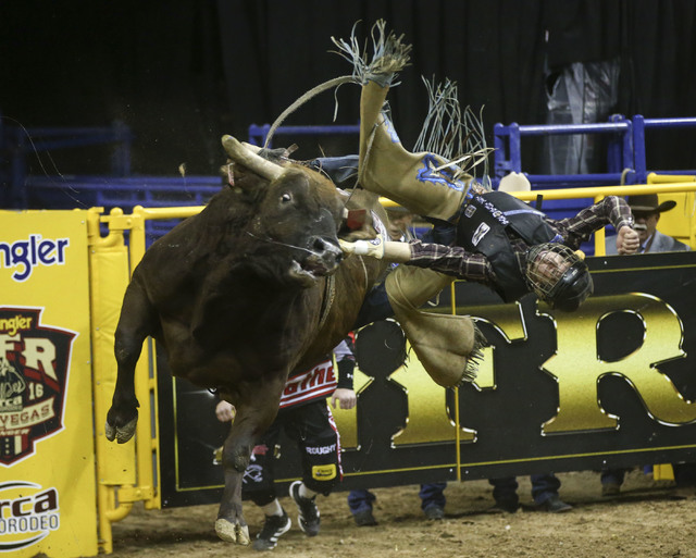 Scottie Knapp is bucked off of Stone Sober while competing in the bull riding event during the 2nd go-round of the National Finals Rodeo at the Thomas & Mack Center in Las Vegas on Friday, Dec ...