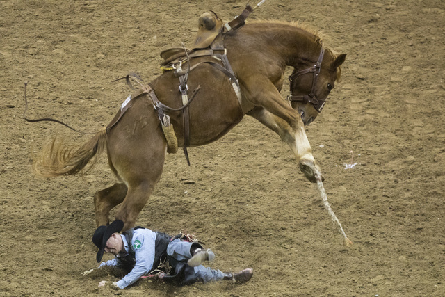 Jacobs Crawley is thrown from his horse during the saddle bronc riding event at the fourth day of the National Finals Rodeo at the Thomas & Mack Center in Las Vegas on Friday, Dec. 4, 2016. (M ...