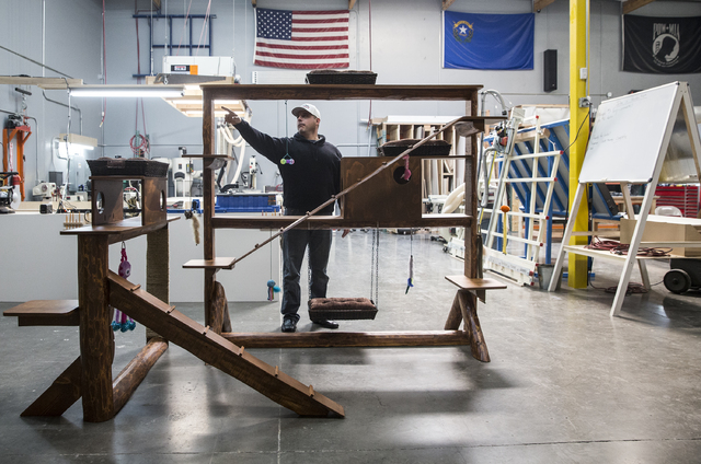 Will Dellaechaie points out features of his company's "kitty mansion" on Friday, Jan. 6, 2016, at Summit Restoration/Everest Construction, in Las Vegas. Benjamin Hager/Las Vegas Review-Journal