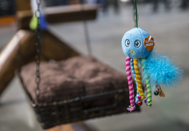 The "kitty mansion" features a number of colorful cat toys hanging from it's wood frame. Photo taken on Friday, Jan. 6, 2016, at Summit Restoration/Everest Construction, in Las V ...