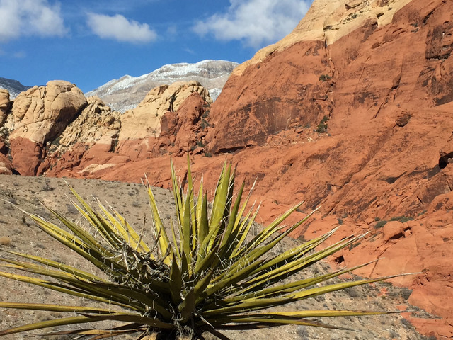 A snow-dusted peak in the Spring Mountains pokes behind Red Rock Canyon on Christmas Day, Sunday, Dec, 25, 2016, west of Las Vegas. Keith Rogers/Las Vegas Review-Journal