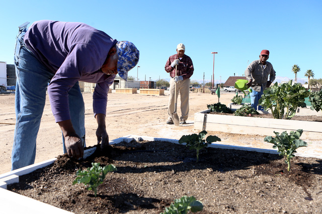 Charlie Blake, 73, repairs irrigation system at Zion Choice Neighborhood Community Garden on Wednesday, Feb. 1, 2017, in North Las Vegas. (Bizuayehu Tesfaye/Las Vegas Review-Journal) @bizutesfaye