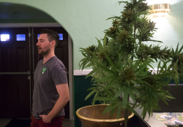 Owner Drew Gennuso at The Cannabis Chapel in downtown Las Vegas on Friday, Feb. 3, 2017. Officiant Tiffany White, center, looks on. (Chase Stevens/Las Vegas Review-Journal) @csstevensphoto