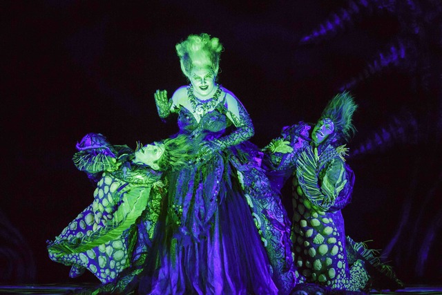 “Disney’s The Little Mermaid.” (Mark & Tracy Photography)