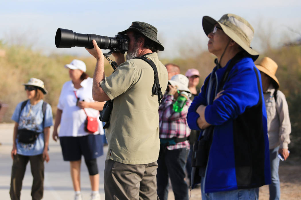 David Walker, center, takes a photograph during a guided bird watching walk at Clark County Wetlands Park in Las Vegas on International Migratory Bird Day, Saturday, March 18, 2017. Walker is a hi ...