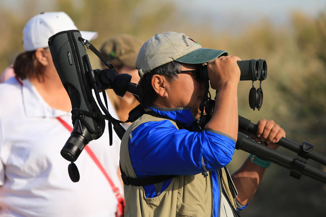 Doug Chang, center, president of the Red Rock Audubon Society, leads a guided bird watching walk at Clark County Wetlands Park in Las Vegas on International Migratory Bird Day, Saturday, March 18, ...