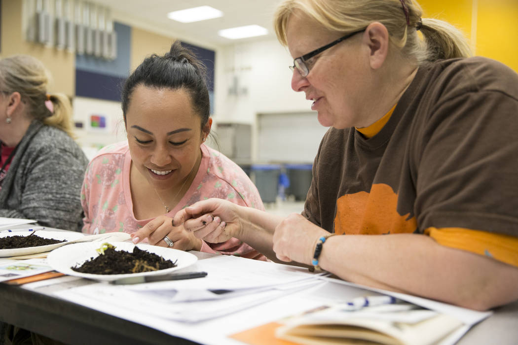 Piggott Academy teachers Gracie Scrivo, left, and Tracy Fischer, attend a worm composting class for local teachers at Lake Elementary School on Saturday, March 25, 2017, in Las Vegas. (Erik Verduz ...