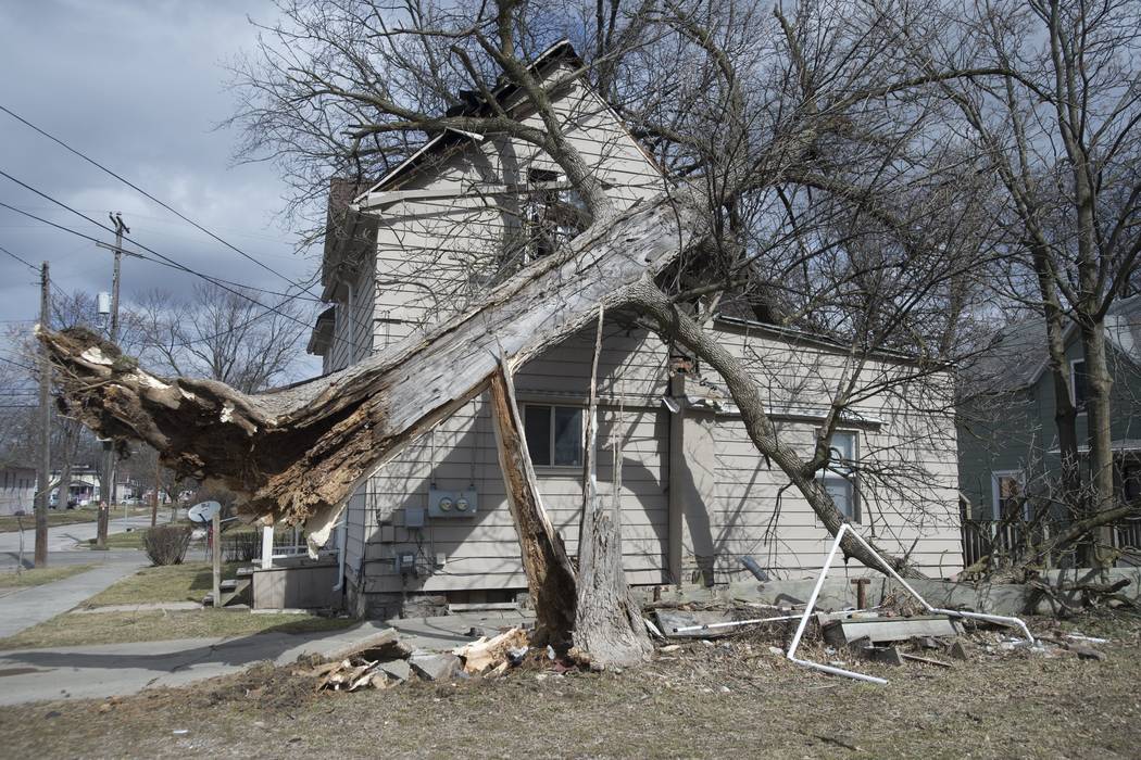 A tree fell on a house after high winds, Wednesday, March 8, 2017, in Saginaw, Mich. The high winds caused damage and power outages around Saginaw County. (Jeff Schrier/The Saginaw News via AP)