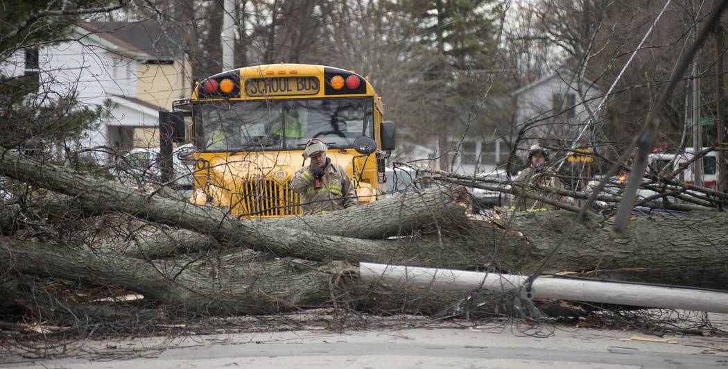 Saginaw firefighters cordon off the area where a tree nearly fell on a school bus, Wednesday, March 8, 2017, in Saginaw, Mich. The high winds caused damage and power outages around Saginaw County. ...